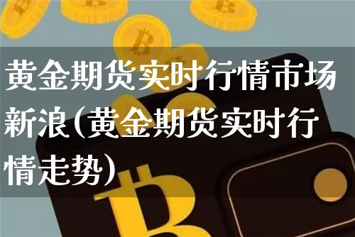 黄金期货实时行情市场新浪(黄金期货实时行情走势)_https://www.sdylsx.com_上期所_第1张