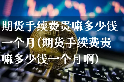 期货手续费贵嘛多少钱一个月(期货手续费贵嘛多少钱一个月啊)_https://www.sdylsx.com_中金所_第1张