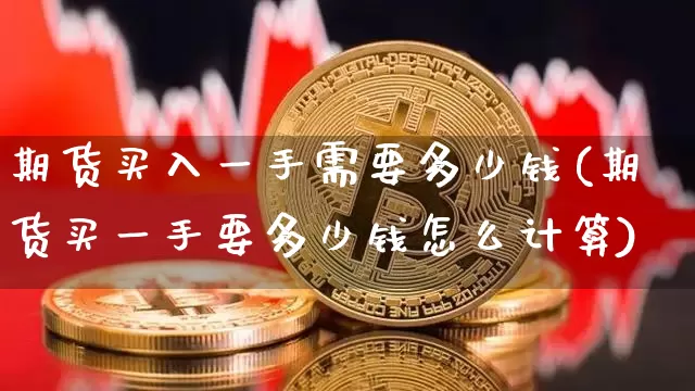 期货买入一手需要多少钱(期货买一手要多少钱怎么计算)_https://www.sdylsx.com_大商所_第1张