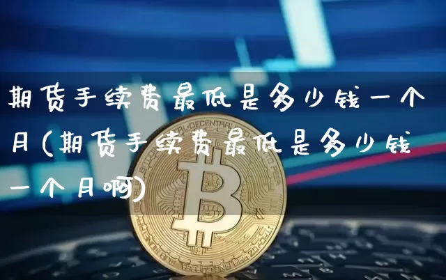 期货手续费最低是多少钱一个月(期货手续费最低是多少钱一个月啊)_https://www.sdylsx.com_广期所_第1张