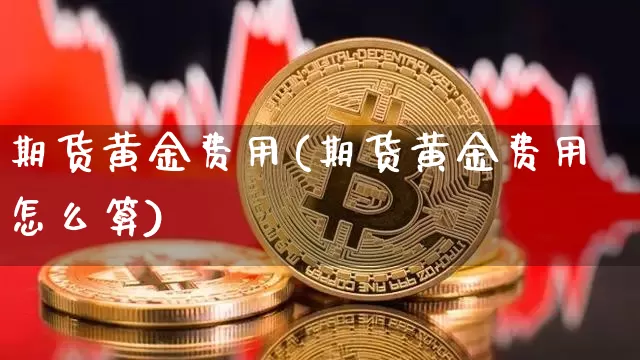 期货黄金费用(期货黄金费用怎么算)_https://www.sdylsx.com_大商所_第1张