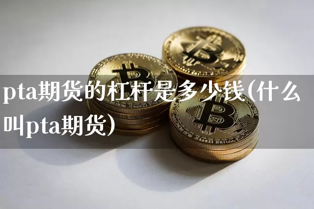 pta期货的杠杆是多少钱(什么叫pta期货)_https://www.sdylsx.com_中金所_第1张