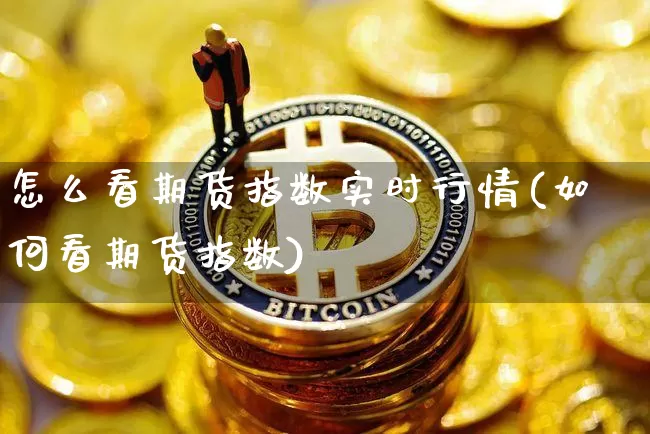 怎么看期货指数实时行情(如何看期货指数)_https://www.sdylsx.com_广期所_第1张