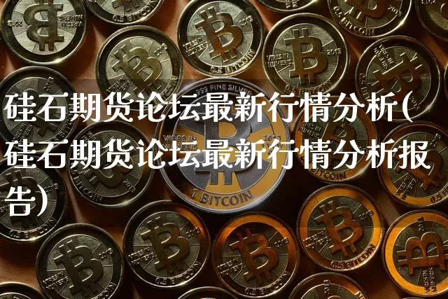硅石期货论坛最新行情分析(硅石期货论坛最新行情分析报告)_https://www.sdylsx.com_中金所_第1张