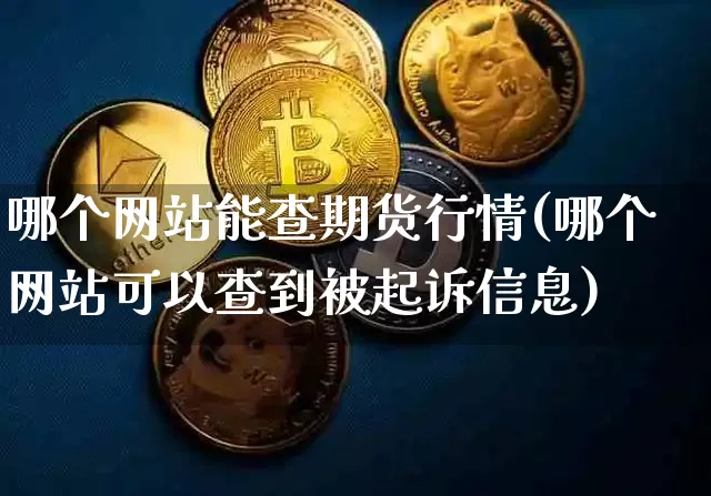 哪个网站能查期货行情(哪个网站可以查到被起诉信息)_https://www.sdylsx.com_上期能源_第1张