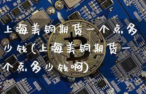 上海美铜期货一个点多少钱(上海美铜期货一个点多少钱啊)_https://www.sdylsx.com_大商所_第1张