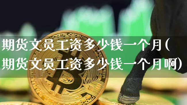 期货文员工资多少钱一个月(期货文员工资多少钱一个月啊)_https://www.sdylsx.com_广期所_第1张