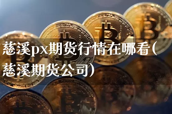 慈溪px期货行情在哪看(慈溪期货公司)_https://www.sdylsx.com_广期所_第1张