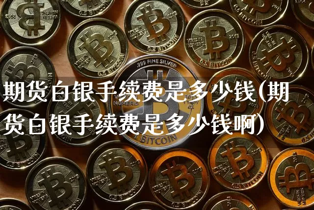 期货白银手续费是多少钱(期货白银手续费是多少钱啊)_https://www.sdylsx.com_广期所_第1张