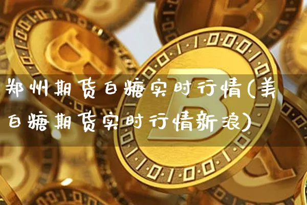郑州期货白糖实时行情(美白糖期货实时行情新浪)_https://www.sdylsx.com_中金所_第1张