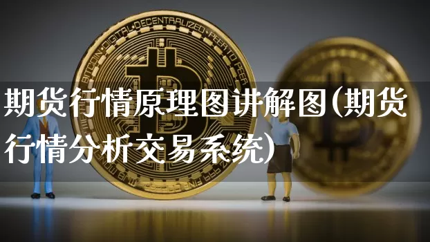 期货行情原理图讲解图(期货行情分析交易系统)_https://www.sdylsx.com_广期所_第1张