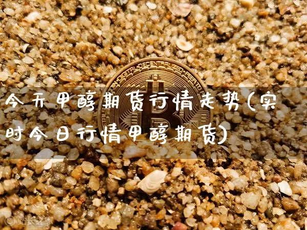 今天甲醇期货行情走势(实时今日行情甲醇期货)_https://www.sdylsx.com_郑商所_第1张