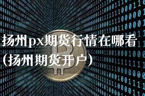 扬州px期货行情在哪看(扬州期货开户)_https://www.sdylsx.com_郑商所_第1张