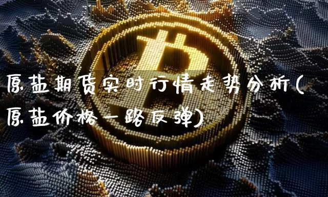 原盐期货实时行情走势分析(原盐价格一路反弹)_https://www.sdylsx.com_中金所_第1张