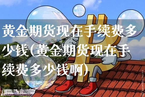 黄金期货现在手续费多少钱(黄金期货现在手续费多少钱啊)_https://www.sdylsx.com_中金所_第1张