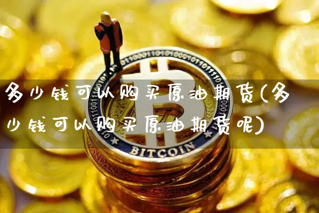 多少钱可以购买原油期货(多少钱可以购买原油期货呢)_https://www.sdylsx.com_郑商所_第1张