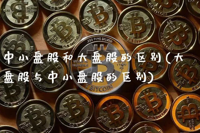 中小盘股和大盘股的区别(大盘股与中小盘股的区别)_https://www.sdylsx.com_郑商所_第1张