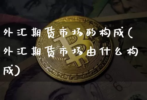 外汇期货市场的构成(外汇期货市场由什么构成)_https://www.sdylsx.com_广期所_第1张