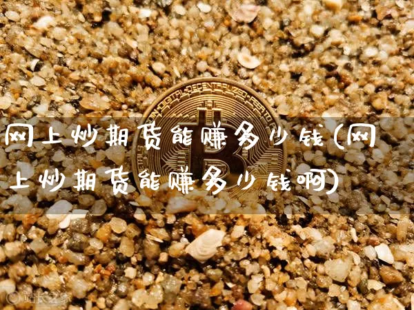 网上炒期货能赚多少钱(网上炒期货能赚多少钱啊)_https://www.sdylsx.com_上期能源_第1张