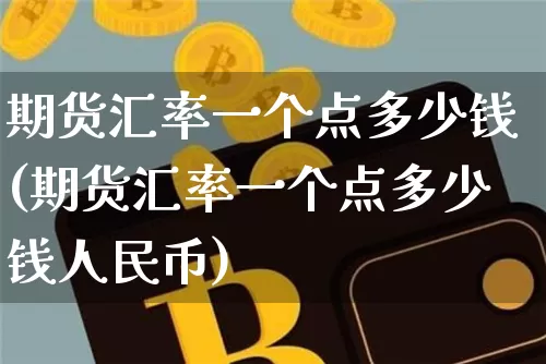 期货汇率一个点多少钱(期货汇率一个点多少钱人民币)_https://www.sdylsx.com_上期所_第1张