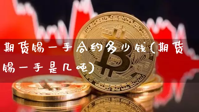 期货锡一手合约多少钱(期货锡一手是几吨)_https://www.sdylsx.com_中金所_第1张