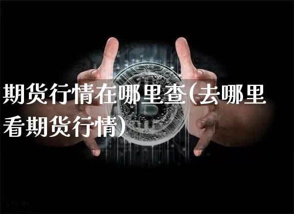 期货行情在哪里查(去哪里看期货行情)_https://www.sdylsx.com_郑商所_第1张