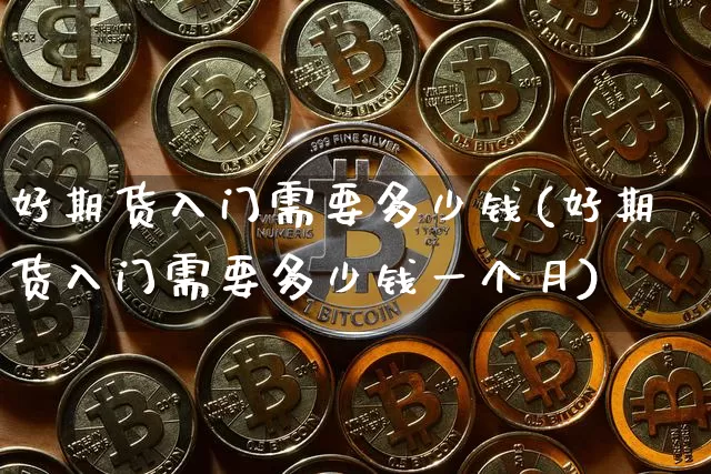 好期货入门需要多少钱(好期货入门需要多少钱一个月)_https://www.sdylsx.com_中金所_第1张