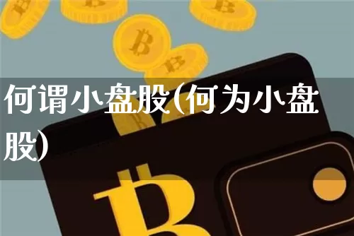 何谓小盘股(何为小盘股)_https://www.sdylsx.com_大商所_第1张