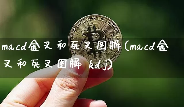macd金叉和死叉图解(macd金叉和死叉图解 kdj)_https://www.sdylsx.com_上期所_第1张