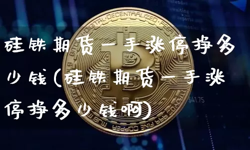 硅铁期货一手涨停挣多少钱(硅铁期货一手涨停挣多少钱啊)_https://www.sdylsx.com_郑商所_第1张
