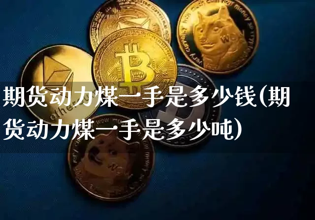 期货动力煤一手是多少钱(期货动力煤一手是多少吨)_https://www.sdylsx.com_广期所_第1张
