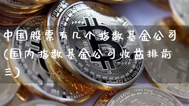 中国股票有几个指数基金公司(国内指数基金公司收益排前三)_广期所_第1张_财经网 中国股票有几个指数基金公司(国内指数基金公司收益排前三)_https://www.sdylsx.com_广期所_第1张