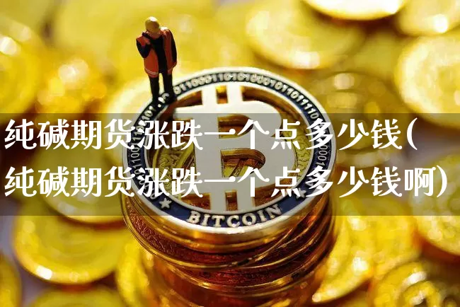 纯碱期货涨跌一个点多少钱(纯碱期货涨跌一个点多少钱啊)_https://www.sdylsx.com_郑商所_第1张