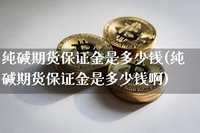 纯碱期货保证金是多少钱(纯碱期货保证金是多少钱啊)_https://www.sdylsx.com_上期所_第1张