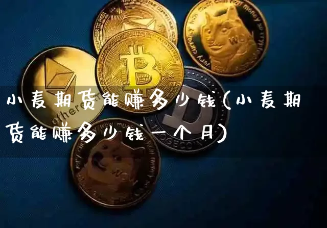 小麦期货能赚多少钱(小麦期货能赚多少钱一个月)_https://www.sdylsx.com_大商所_第1张