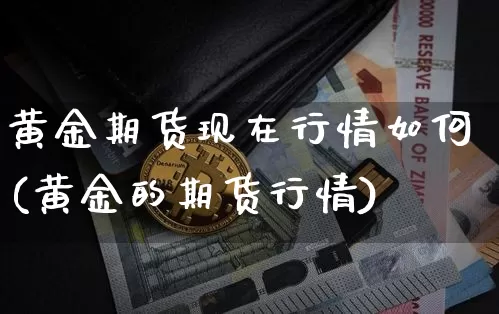 黄金期货现在行情如何(黄金的期货行情)_https://www.sdylsx.com_广期所_第1张